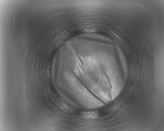 X0000057080553200510010202