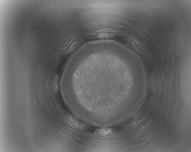 X0000057080554200510010202