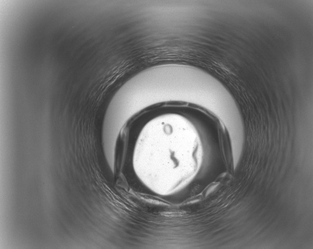 X0000057080556200510010202