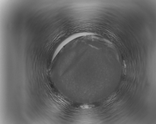 X0000057080558200510010202