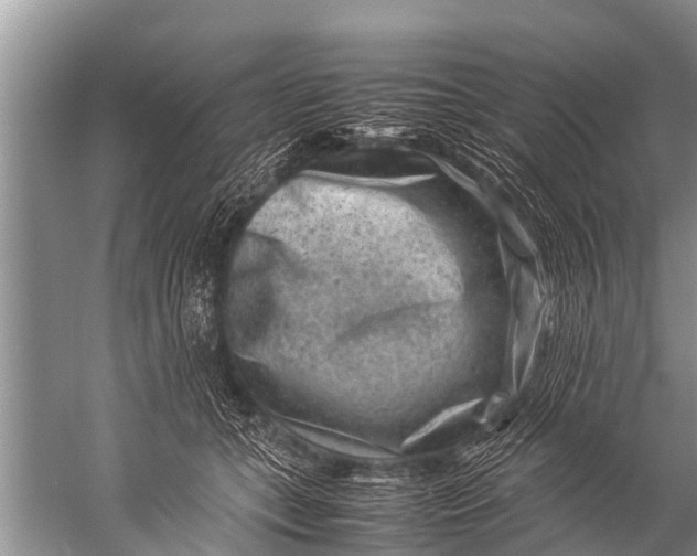 X0000057080559200510010202