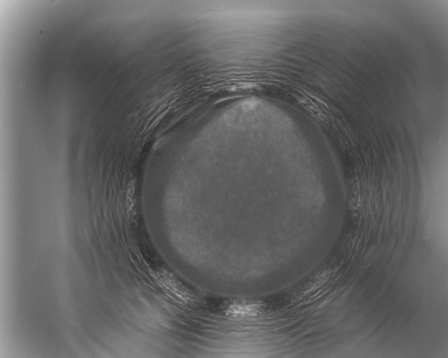 X0000057080560200510010202