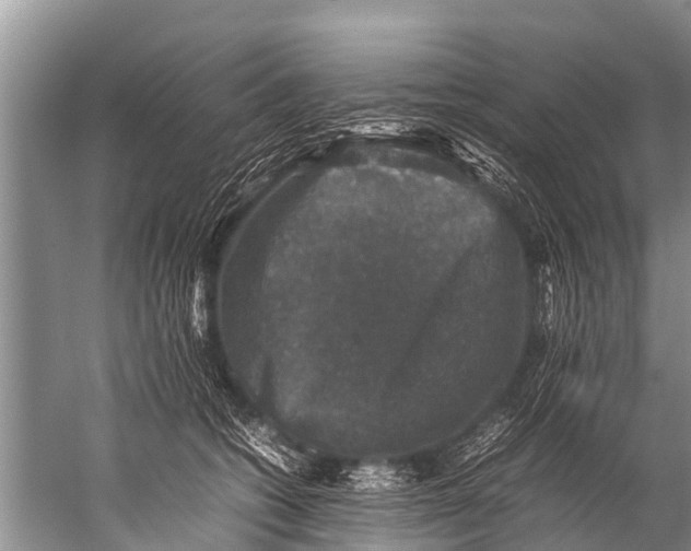 X0000057080562200510010202