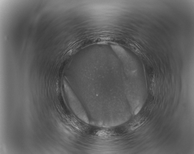 X0000057080568200510010202