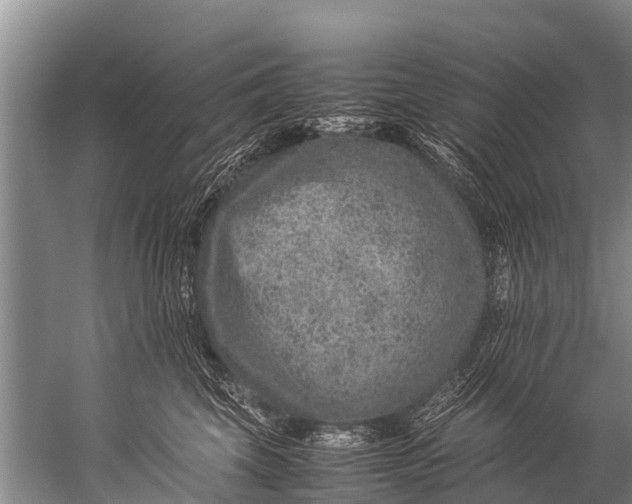 X0000057080569200510010202