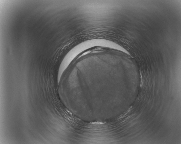 X0000057080570200510010202