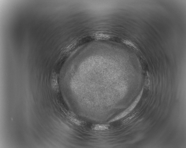 X0000057080573200510010203