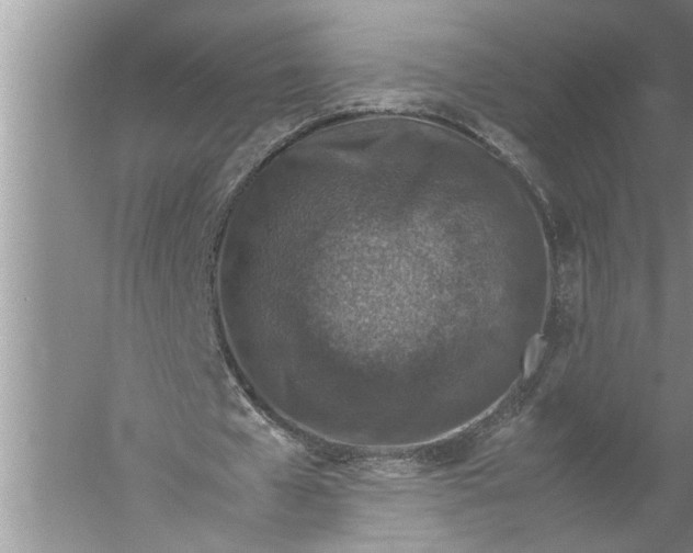 X0000057080577200510010202