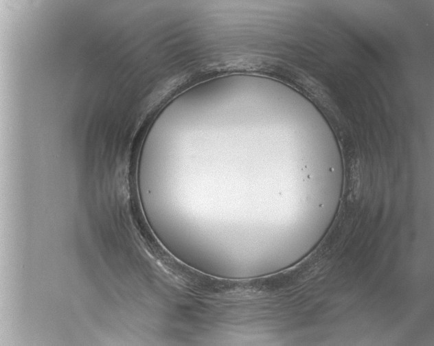 X0000057080578200510010202