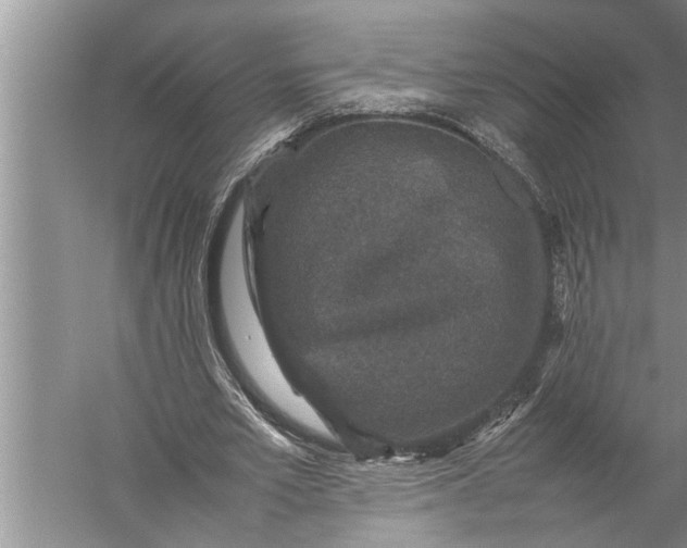 X0000057080581200510010202