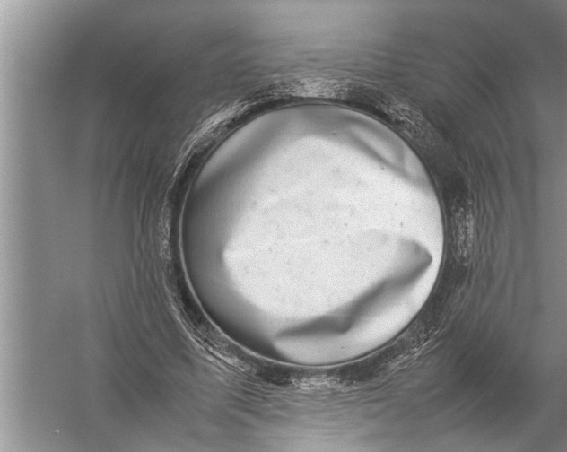 X0000057080587200510010202