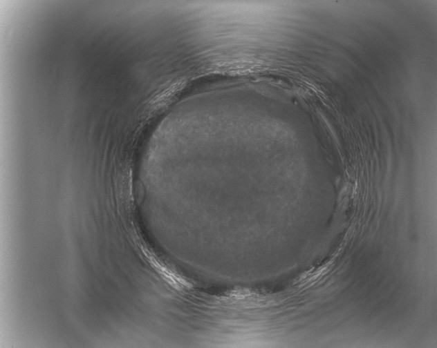 X0000057080589200510010202