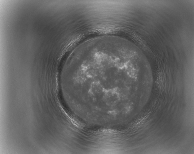 X0000057080590200510010202