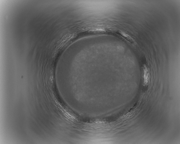 X0000057080593200510010201