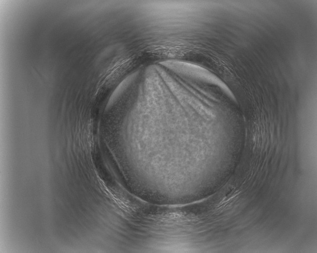 X0000057080594200510010201