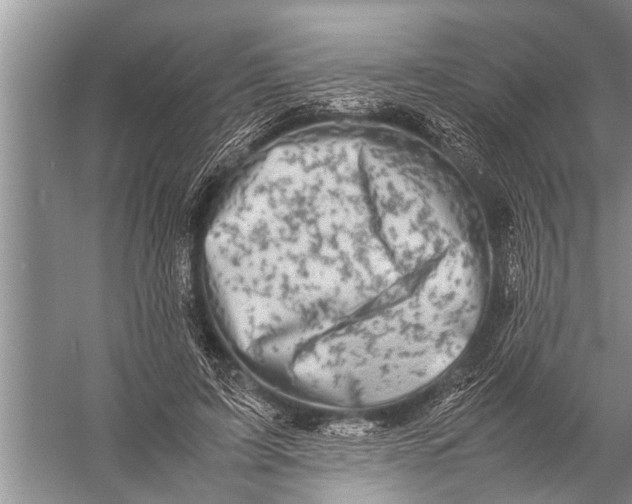 X0000057080595200510010201