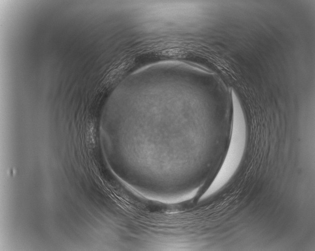 X0000057080597200510010201