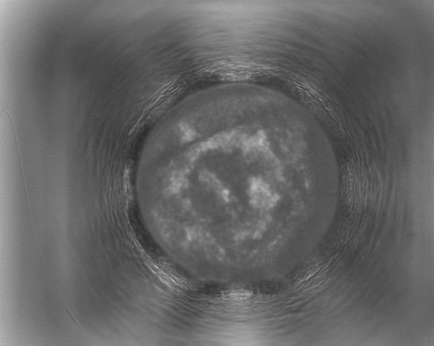 X0000057080598200510010201