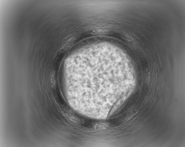 X0000057080599200510010201