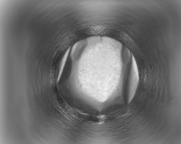 X0000057080602200510010201