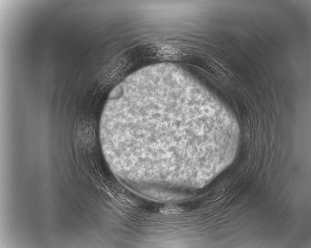 X0000057080603200510010201