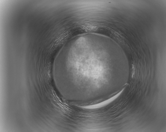 X0000057080604200510010201