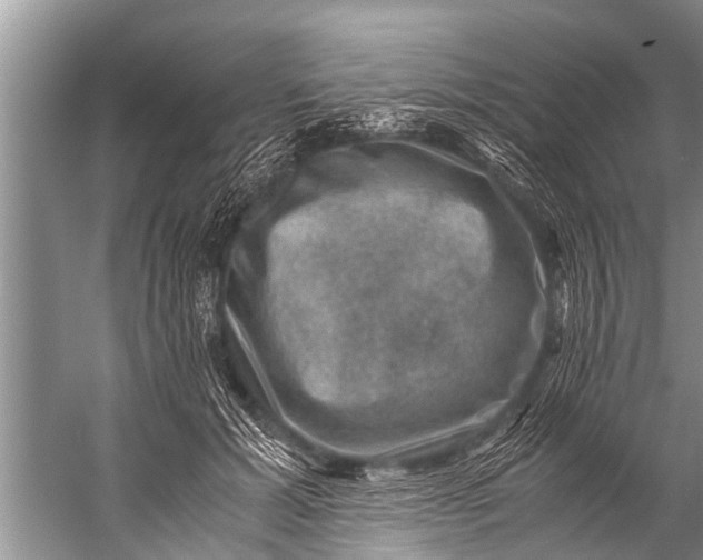 X0000057080605200510010201