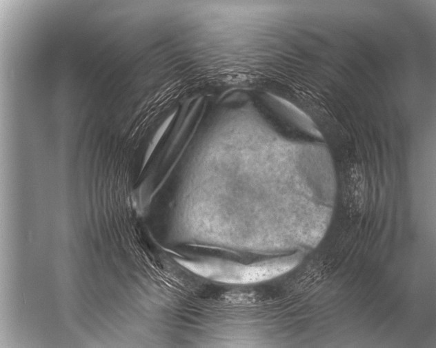 X0000057080606200510010201