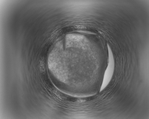 X0000057080609200510010201