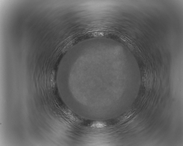 X0000057080610200510010201