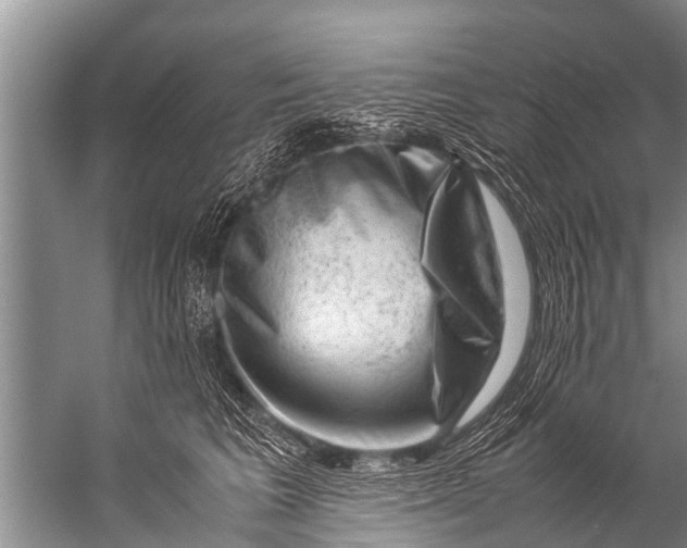 X0000057080613200510010201