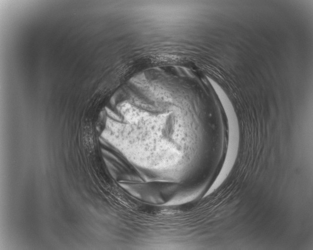 X0000057080617200510010201