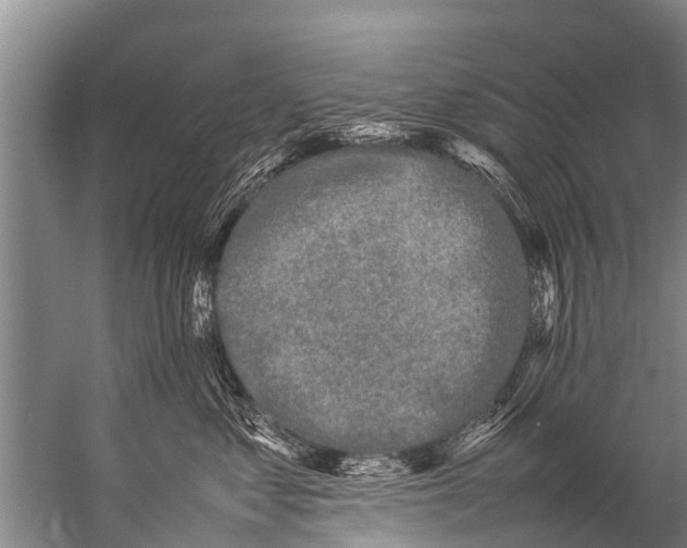 X0000057080621200510010201