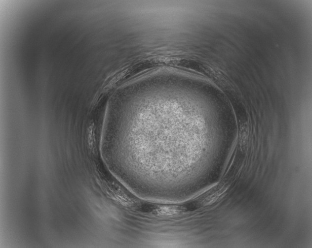 X0000057080623200510010201