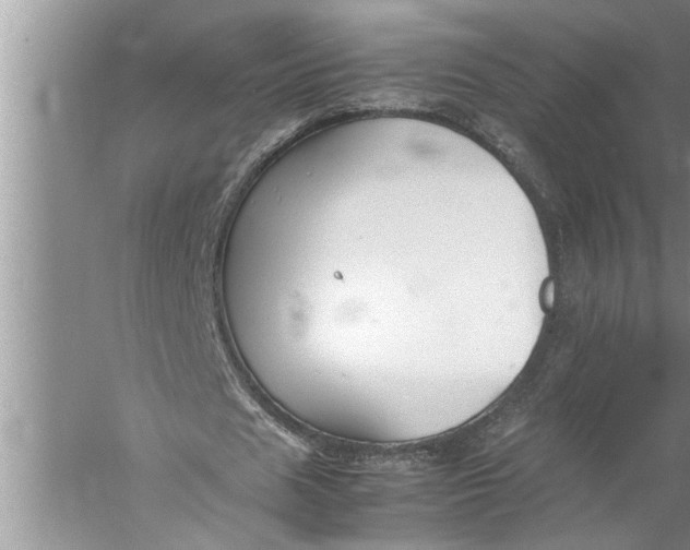 X0000057080625200510010200