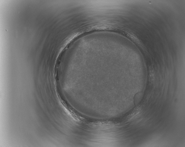 X0000057080626200510010200