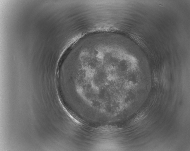 X0000057080630200510010200