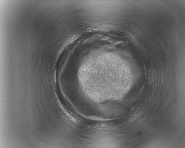 X0000057080634200510010200