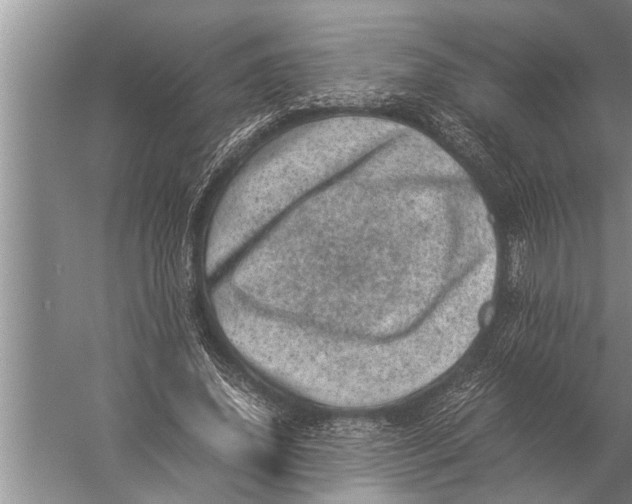 X0000057080636200510010200