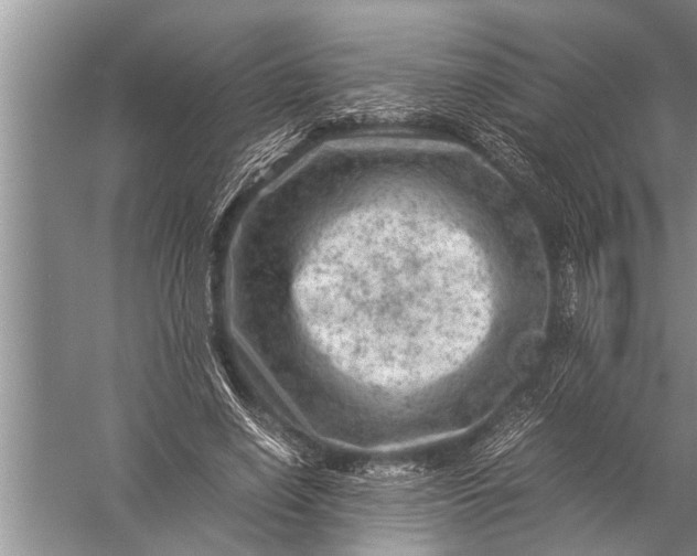 X0000057080638200510010200