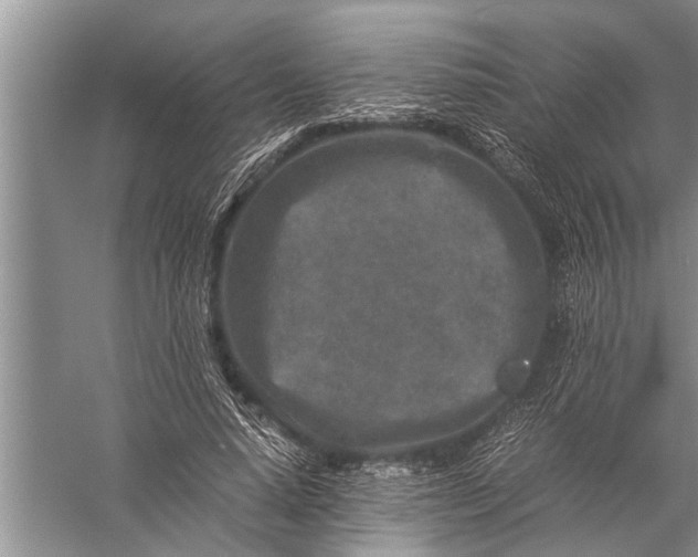 X0000057080640200510010200