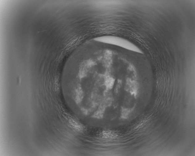 X0000057080641200510010200