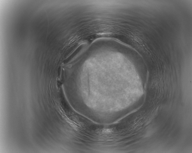 X0000057080647200510010200