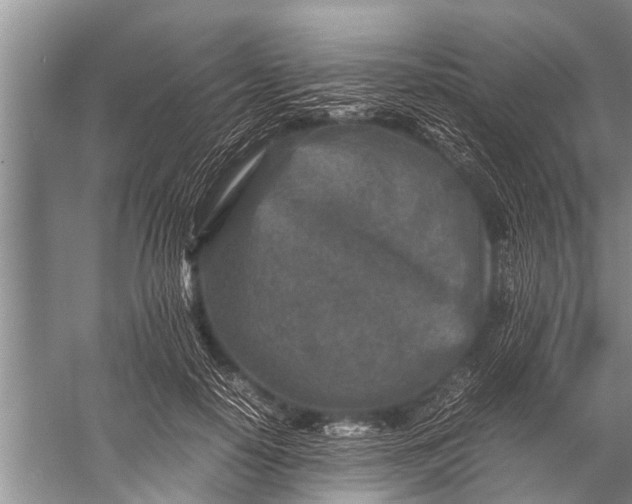 X0000057080650200510010201