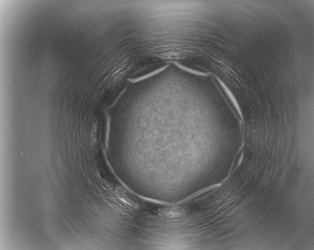 X0000057080652200510010201