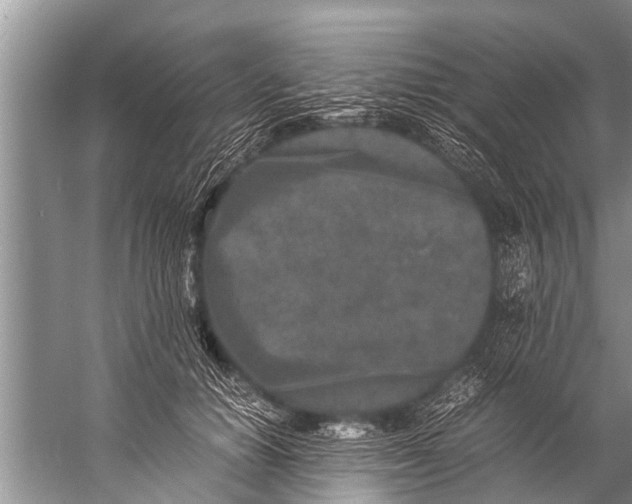 X0000057080654200510010201