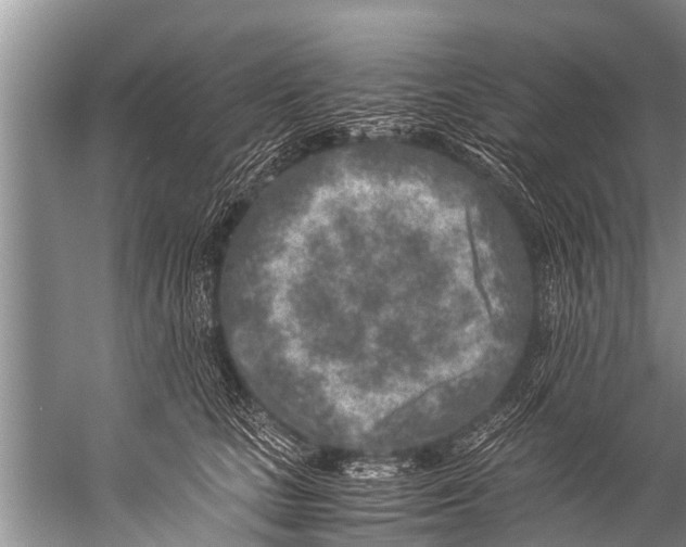 X0000057080661200510010201