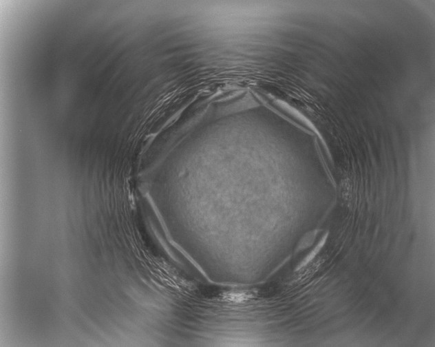 X0000057080662200510010201