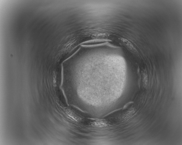 X0000057080668200510010201