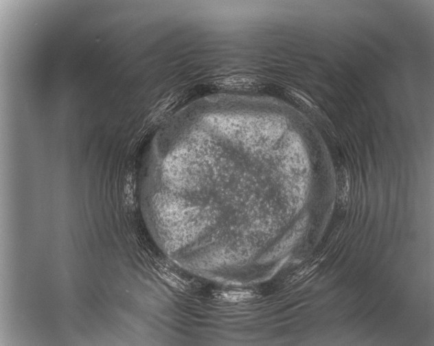 X0000057080669200510010201